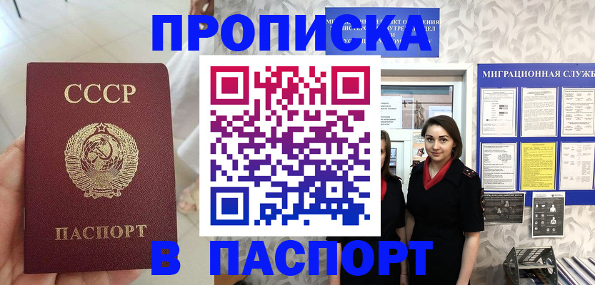 прописка 2025 в Вышнем Волочке